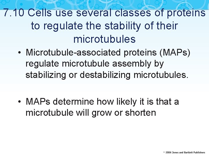 7. 10 Cells use several classes of proteins to regulate the stability of their