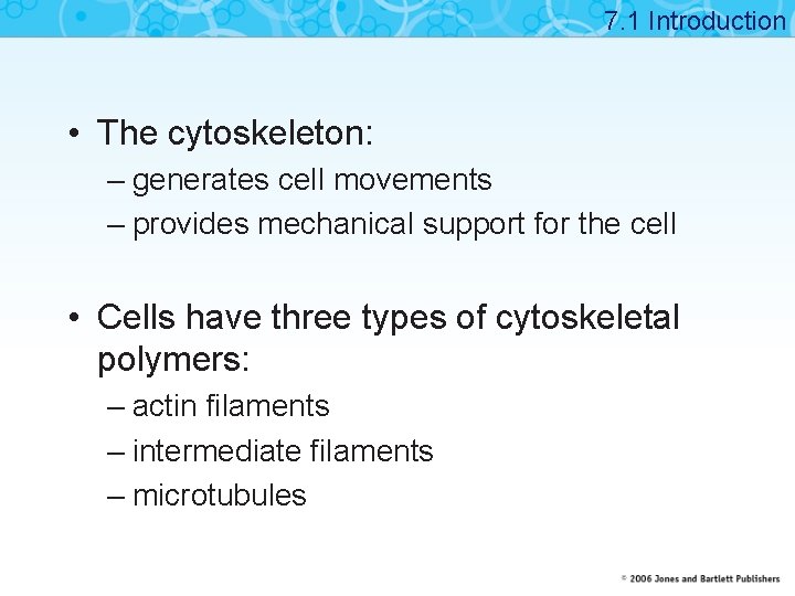 7. 1 Introduction • The cytoskeleton: – generates cell movements – provides mechanical support