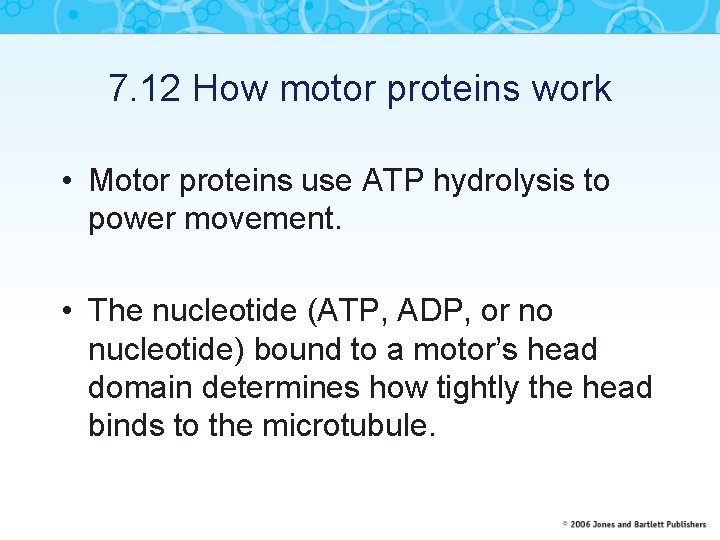 7. 12 How motor proteins work • Motor proteins use ATP hydrolysis to power