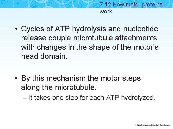 7. 12 How motor proteins work • Cycles of ATP hydrolysis and nucleotide release