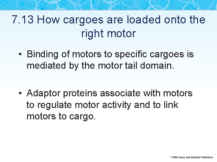 7. 13 How cargoes are loaded onto the right motor • Binding of motors