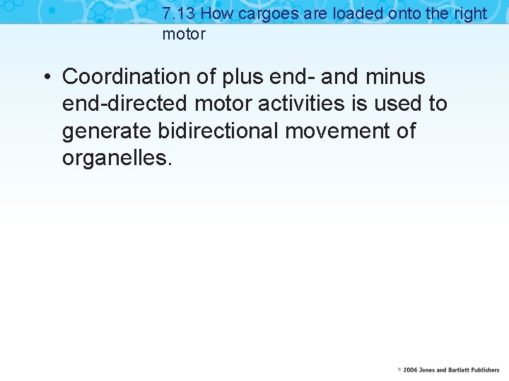 7. 13 How cargoes are loaded onto the right motor • Coordination of plus