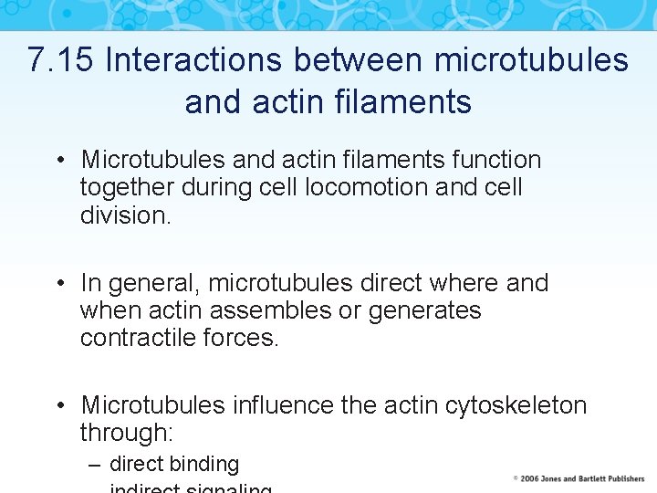 7. 15 Interactions between microtubules and actin filaments • Microtubules and actin filaments function