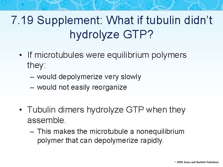 7. 19 Supplement: What if tubulin didn’t hydrolyze GTP? • If microtubules were equilibrium