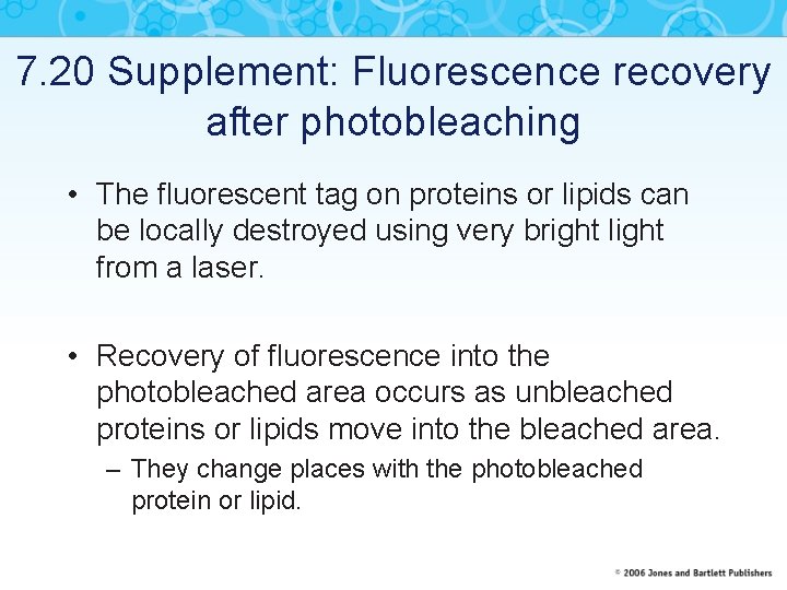 7. 20 Supplement: Fluorescence recovery after photobleaching • The fluorescent tag on proteins or