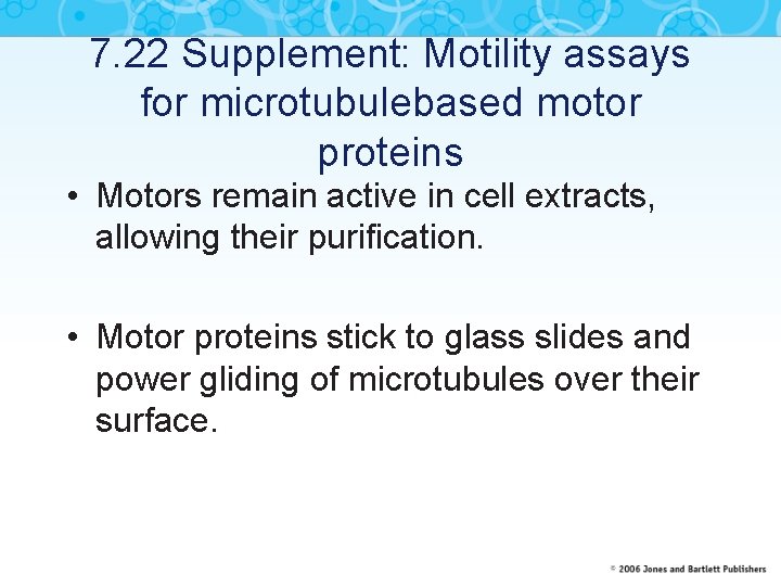 7. 22 Supplement: Motility assays for microtubulebased motor proteins • Motors remain active in