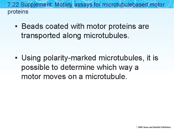 7. 22 Supplement: Motility assays for microtubulebased motor proteins • Beads coated with motor