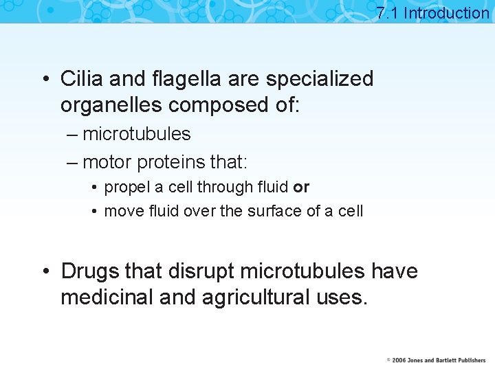 7. 1 Introduction • Cilia and flagella are specialized organelles composed of: – microtubules