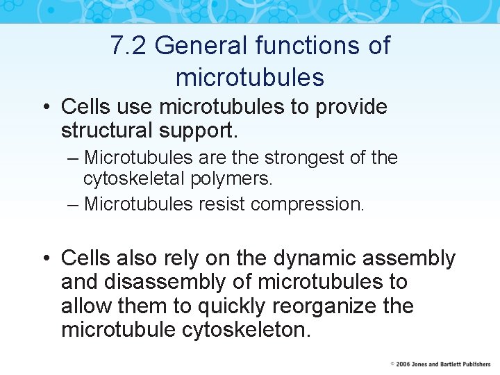 7. 2 General functions of microtubules • Cells use microtubules to provide structural support.