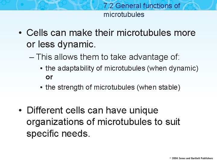 7. 2 General functions of microtubules • Cells can make their microtubules more or