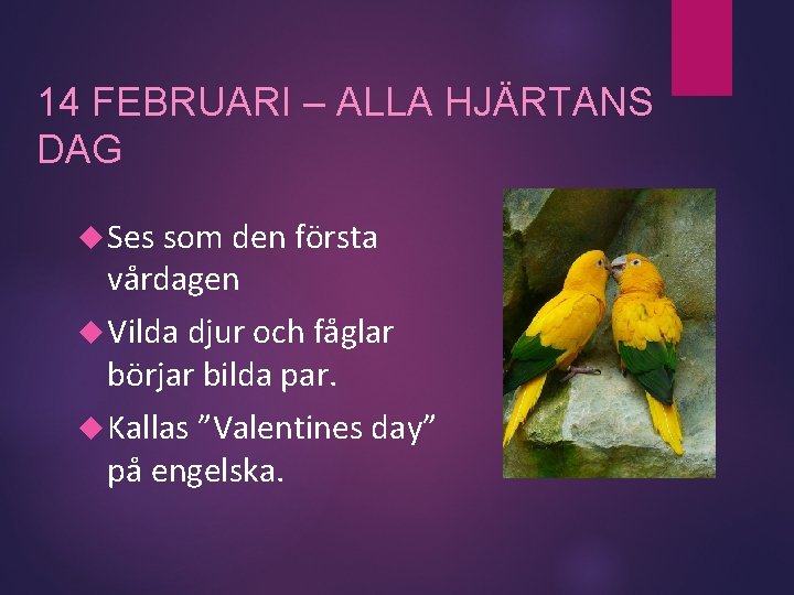 14 FEBRUARI – ALLA HJÄRTANS DAG Ses som den första vårdagen Vilda djur och