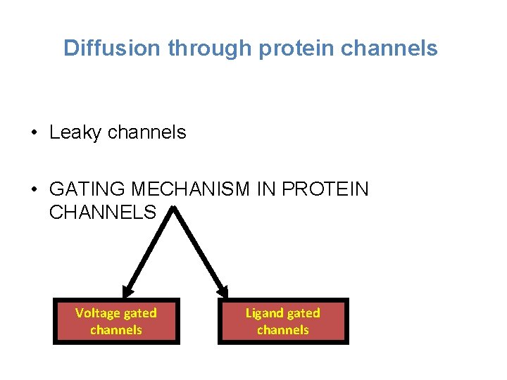 Diffusion through protein channels • Leaky channels • GATING MECHANISM IN PROTEIN CHANNELS Voltage