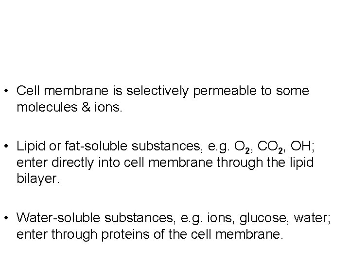  • Cell membrane is selectively permeable to some molecules & ions. • Lipid