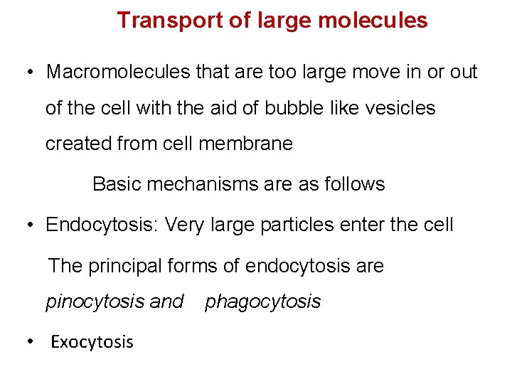 Transport of large molecules • Macromolecules that are too large move in or out