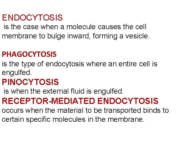 ENDOCYTOSIS is the case when a molecule causes the cell membrane to bulge inward,