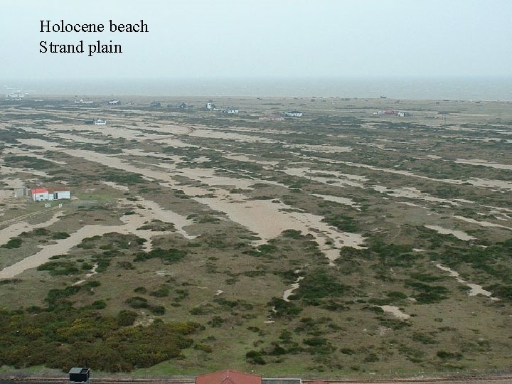 Holocene beach Strand plain 