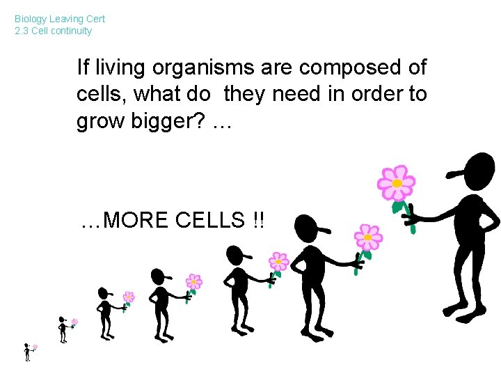 Biology Leaving Cert 2. 3 Cell continuity If living organisms are composed of cells,