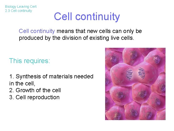 Biology Leaving Cert 2. 3 Cell continuity means that new cells can only be