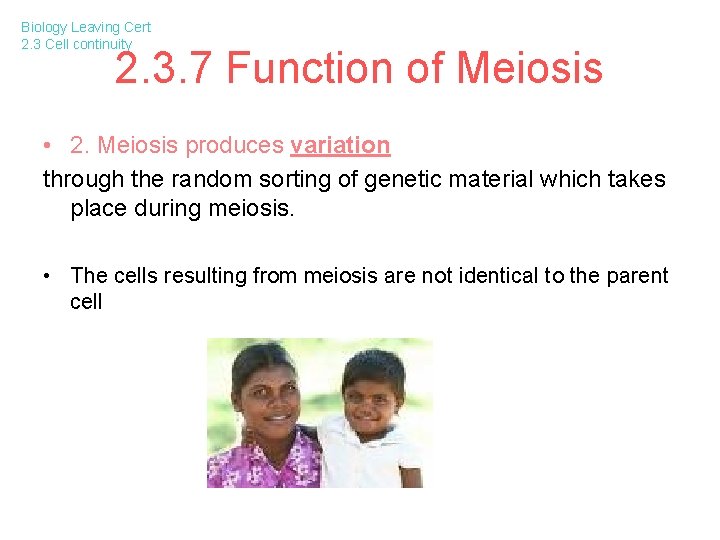 Biology Leaving Cert 2. 3 Cell continuity 2. 3. 7 Function of Meiosis •