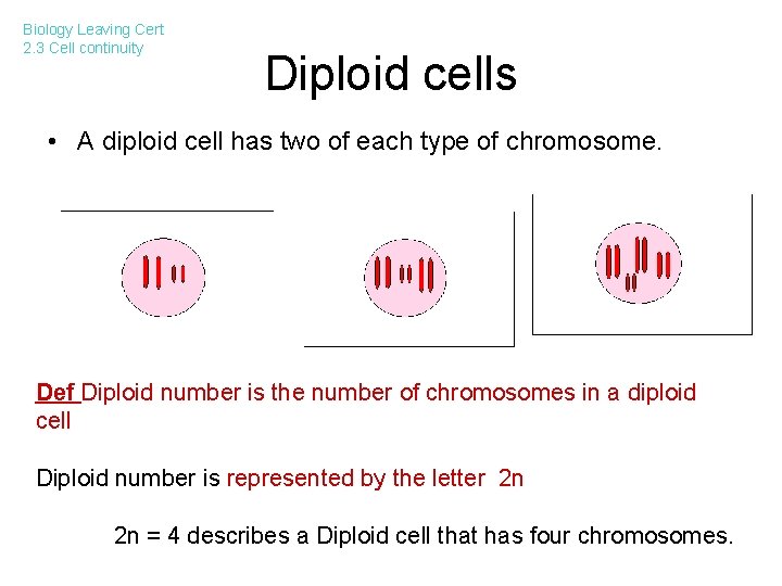 Biology Leaving Cert 2. 3 Cell continuity Diploid cells • A diploid cell has