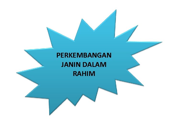 PERKEMBANGAN JANIN DALAM RAHIM 