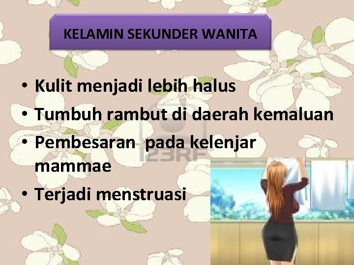 KELAMIN SEKUNDER WANITA • Kulit menjadi lebih halus • Tumbuh rambut di daerah kemaluan