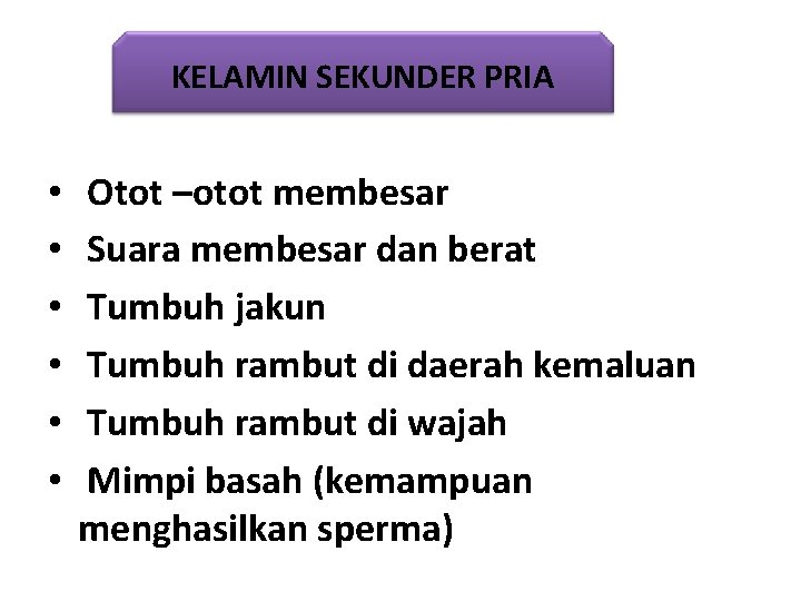 KELAMIN SEKUNDER PRIA • • • Otot –otot membesar Suara membesar dan berat Tumbuh