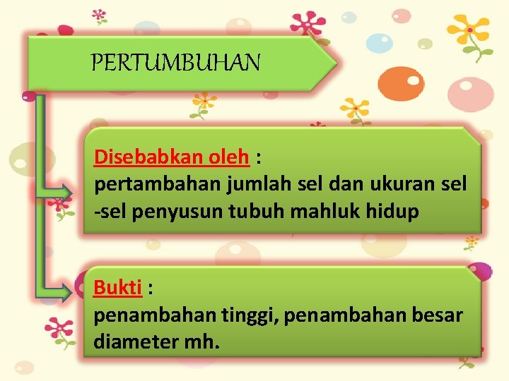 PERTUMBUHAN Disebabkan oleh : pertambahan jumlah sel dan ukuran sel -sel penyusun tubuh mahluk