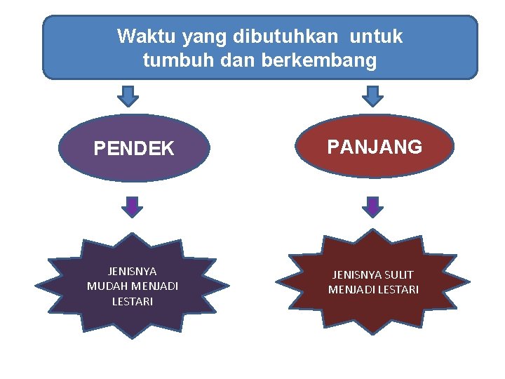 Waktu yang dibutuhkan untuk tumbuh dan berkembang PENDEK PANJANG JENISNYA MUDAH MENJADI LESTARI JENISNYA