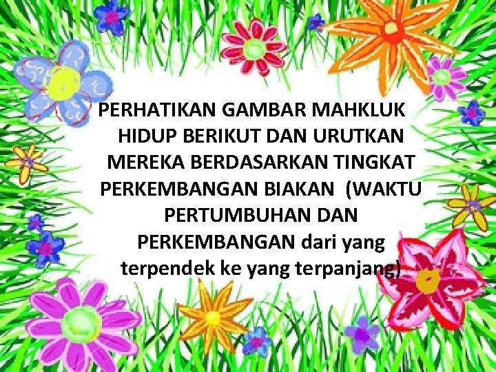 PERHATIKAN GAMBAR MAHKLUK HIDUP BERIKUT DAN URUTKAN MEREKA BERDASARKAN TINGKAT PERKEMBANGAN BIAKAN (WAKTU PERTUMBUHAN