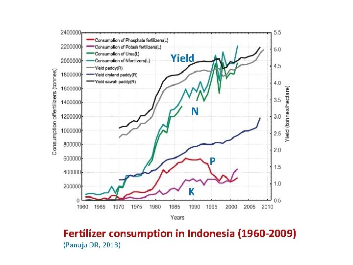 Yield N P K Fertilizer consumption in Indonesia (1960 -2009) (Panuju DR, 2013) 