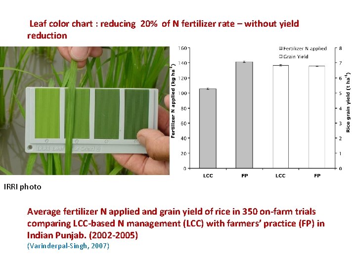  Leaf color chart : reducing 20% of N fertilizer rate – without yield