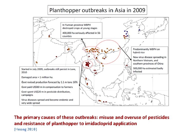 The primary causes of these outbreaks: misuse and overuse of pesticides and resistance of