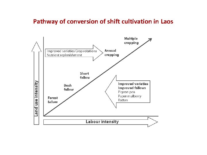 Pathway of conversion of shift cultivation in Laos 