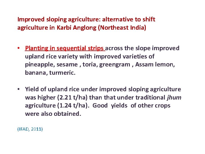 Improved sloping agriculture: alternative to shift agriculture in Karbi Anglong (Northeast India) • Planting