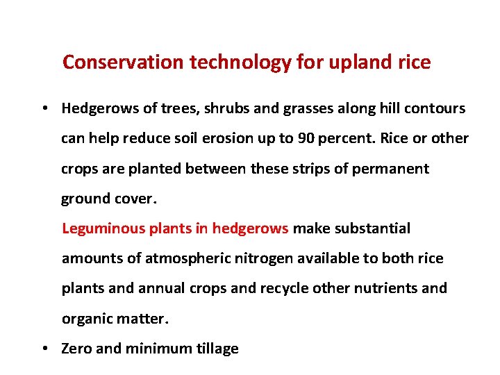  Conservation technology for upland rice • Hedgerows of trees, shrubs and grasses along