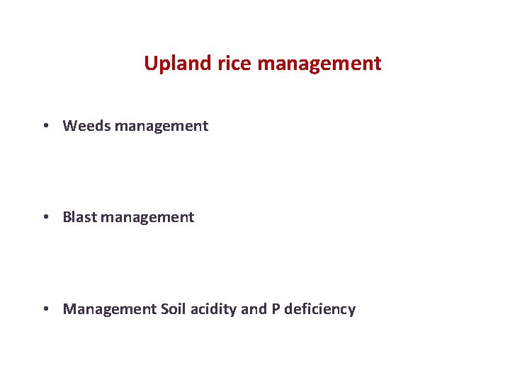 Upland rice management • Weeds management • Blast management • Management Soil acidity and