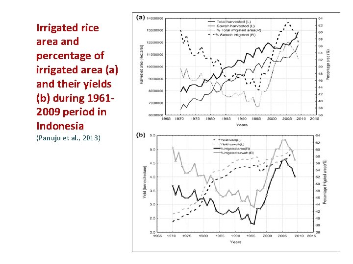 Irrigated rice area and percentage of irrigated area (a) and their yields (b) during