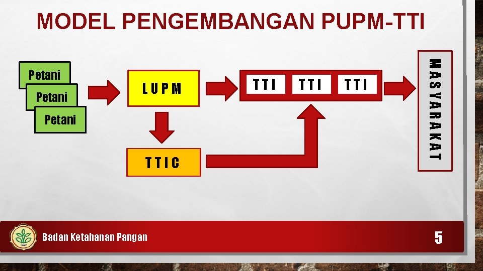 MODEL PENGEMBANGAN PUPM-TTI Petani LUPM Petani TTIC Badan Ketahanan Pangan TTI TTI MASYARAKAT Petani