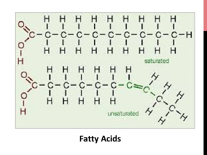 Fatty Acids 