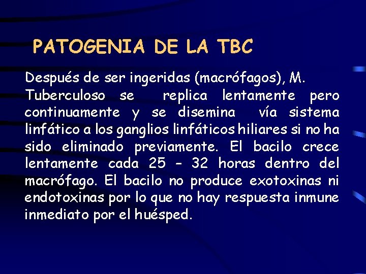 PATOGENIA DE LA TBC Después de ser ingeridas (macrófagos), M. Tuberculoso se replica lentamente
