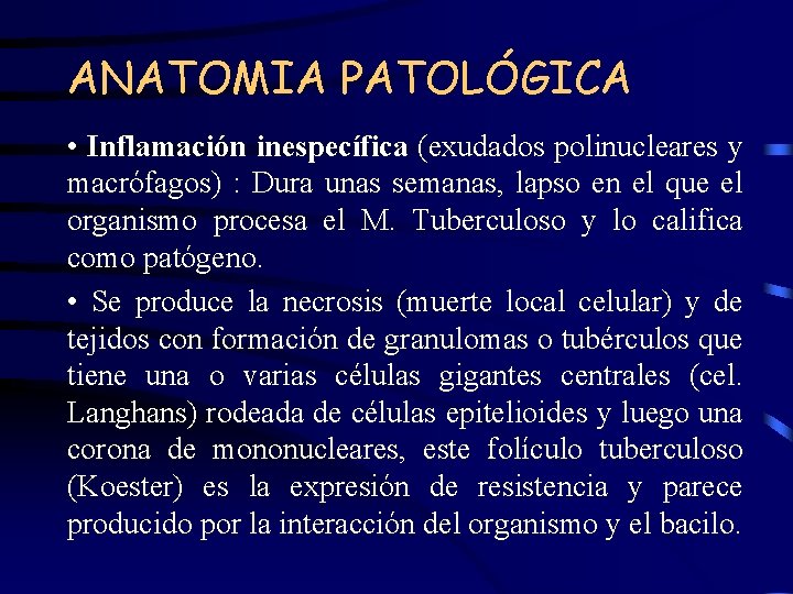 ANATOMIA PATOLÓGICA • Inflamación inespecífica (exudados polinucleares y macrófagos) : Dura unas semanas, lapso