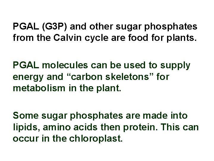 PGAL (G 3 P) and other sugar phosphates from the Calvin cycle are food