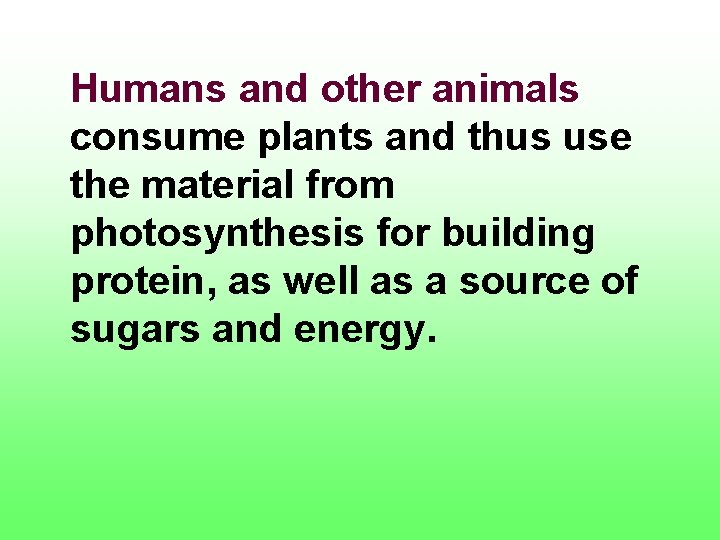 Humans and other animals consume plants and thus use the material from photosynthesis for