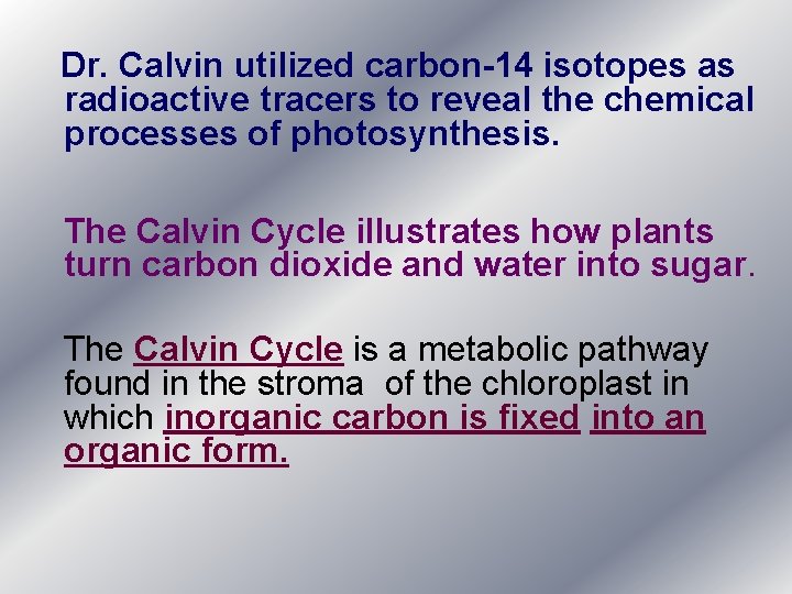 Dr. Calvin utilized carbon-14 isotopes as radioactive tracers to reveal the chemical processes of