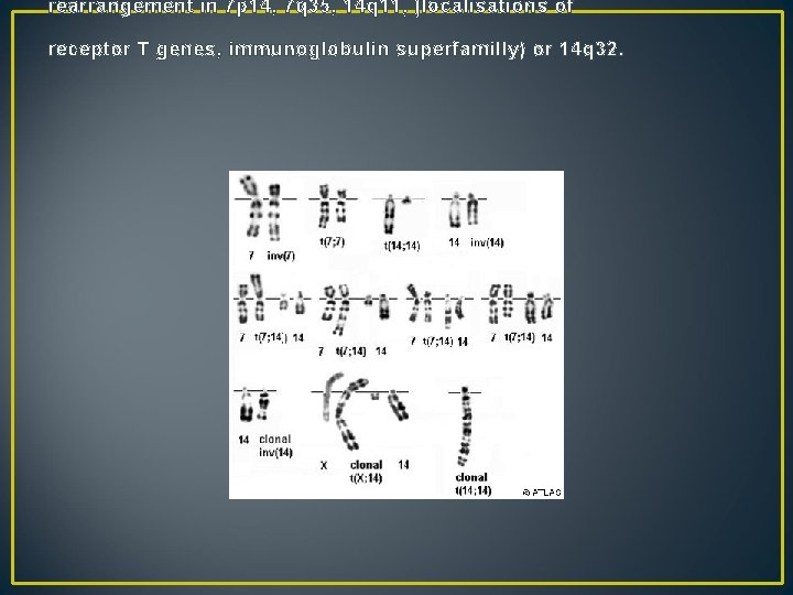 rearrangement in 7 p 14, 7 q 35, 14 q 11, (localisations of receptor