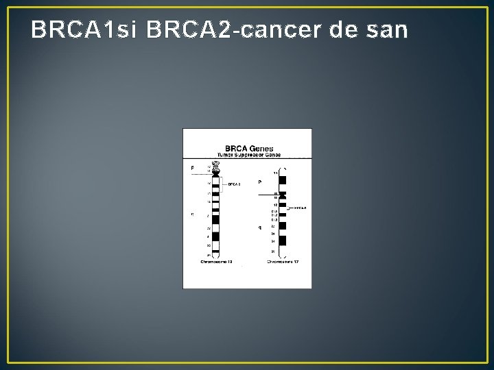 BRCA 1 si BRCA 2 -cancer de san 