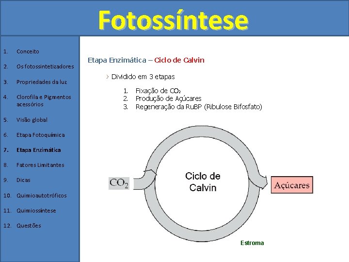 Fotossíntese 1. Conceito 2. Os fotossintetizadores 3. Propriedades da luz 4. Clorofila e Pigmentos