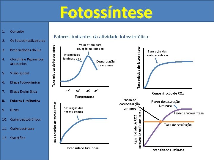 Fotossíntese 3. Propriedades da luz 4. Clorofila e Pigmentos acessórios 5. Visão global 6.