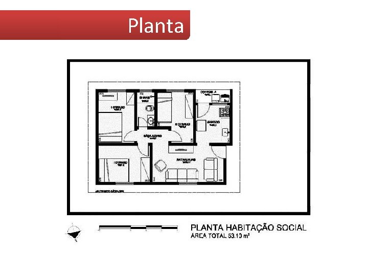 Planta 